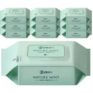알뜰공식 네이처 민트 물티슈 캡형 100매 10개