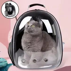 고양이 강아지 투명 이동가방 반려동물 외출용 백팩 애완동물 이동장 가방 크로스백 강아