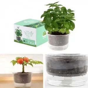 자동물공급 삼투압화분 바질씨앗 흙 세트_23297101