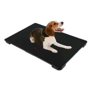 강아지 체중계 반려동물 애견샵 반려동물체중계 유선 애완동물