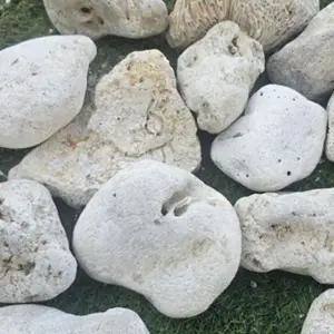 [오너클랜]어항 꾸미기 은신처 조형물 수족관 장식 2kg 어항소품 해수어어항