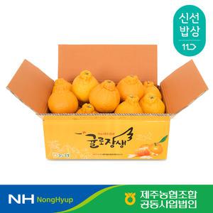 [제주농협] 귤로장생 한라봉 4kg 로얄과(12-20입)