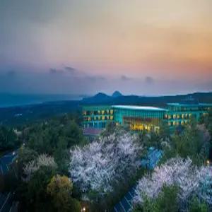 [제주 호텔] WE호텔 제주 (서귀포시,중문,모슬포)