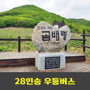 곰배령 야생화 곰배골코스 리무진버스