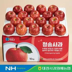[대경사과원예농협]청송 정품 사과 10kg 46과내 부사