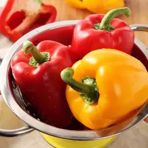 국내산 파프리카 혼합 못난이 2kg/GM