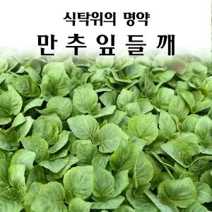 [모종심는아빠] 식탁위에 명약 만추 잎들깨 모종72개(트레이한판)