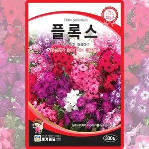 세계종묘 플록스 씨앗 300립 혼합종 플록스 꽃씨 종자