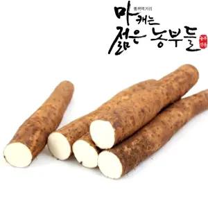 [마캐는젊은농부들]마장마 특상품(굵은것)2kg 3kg 참마 햇마 선물용