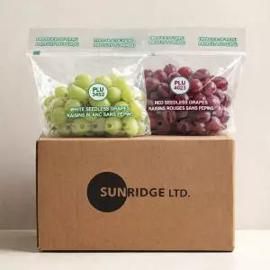 청포도900g+적포도900g 총 1.8kg내외 오톰크리스피 캔디하트 등