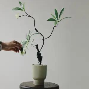 리얼플랜트 프랜지파니 조화 컬러받침 화분세트 프리미엄 거실인테리어 화분 개업선물