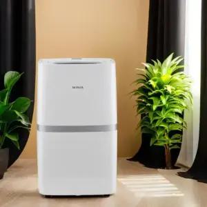 위니아 10리터 제습기 EDH10HNW(A) 미니 소형 연속배수 생활먼지 안심필터 곰팡이 결로방지 필수템