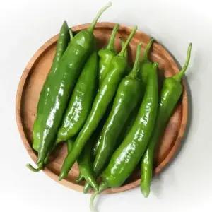 농산물마루 오이고추 오이맛 아삭이 아삭고추