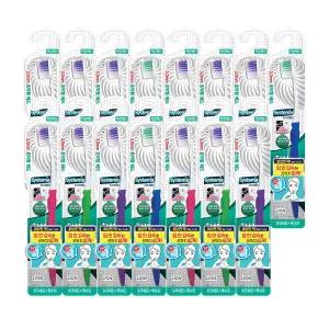 [시스테마] 치석케어 콤팩트 칫솔 1입 x 15개