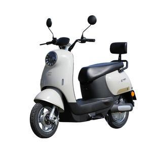 3발 전기스쿠터 3륜 전동 전동차 배터리 접이식 전기자전거 에이패스이