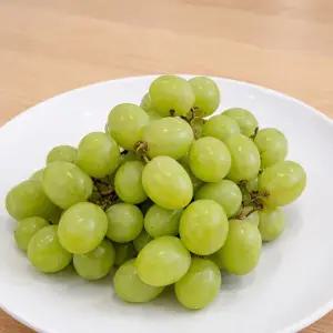 씨 없이 껍질째 먹는 오톰크리스피 청포도 2kg