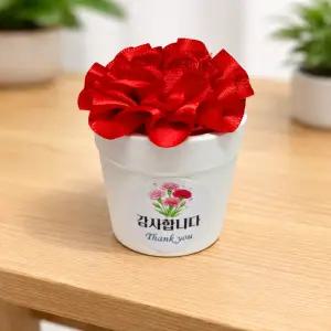 카네이션 화분석고방향제 이쁜 기업단체돌웨딩답례품 개업선물