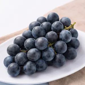 고당도 블랙포도 1kg 껍질째먹는 씨없는포도 블랙세이블