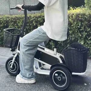 접이식 3륜 전기 스쿠터 숙녀 노인 성인 가정용 배터리 자동차