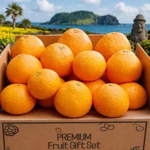 고당도 제주 청견 오렌지 귤 5kg