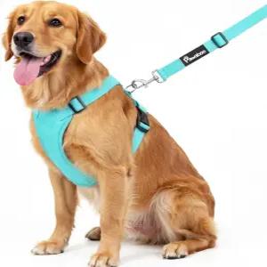 차량용 Pawaboo 조절식 반려견 안전벨트 소형 중형 대형견용 포함 통기성 XL 풀 블루