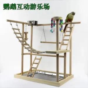 놀이터 코뉴어 사랑앵무 큐 D타입