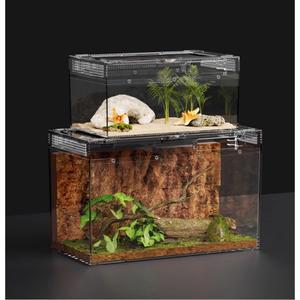 달팽이키우기 백와달팽이