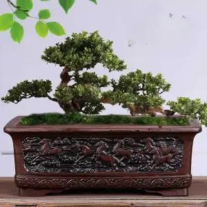 소나무 분재 화분 토기 세라믹 다육 분갈이 빈티지 토분