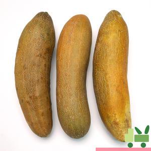 노각 (늙은오이) 5Kg (상)