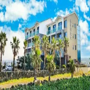 [제주] 제주리조트(제주호텔)