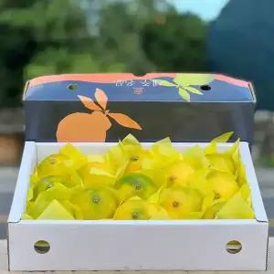 당도높은 제주 천혜향 레드향 황금향 한라봉 카라향 과일 선물세트 3KG 달콤한 과즙 제철 귤 명품