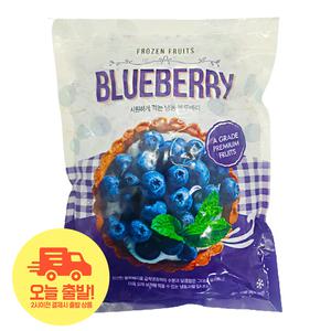 [얌얌마켓] 냉동 블루베리 1kg (아이스박스 포함)