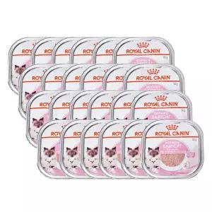 로얄캐닌 마더앤베이비캣캔 트레이 100g 24개