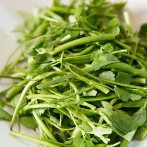 국내산 청도 미나리 200g