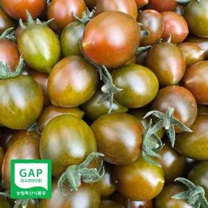 담은농가 대저 흑대추 방울 토마토 특품 2kg / GAP인증농가 농장직송