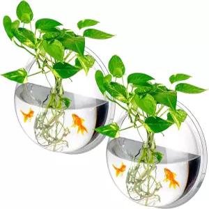 Zilini 2개 매달린 벽 1갤런 어항 아크릴 투명 베타 수족관 장착 식물 버블 에코스피어 장식
