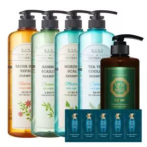 댕기머리 초특가 샴푸 트리트먼트 1000ml~2000ml+사은품 증정 / BEST 모음전