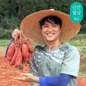 [과일꾼] 베니하루카 황토 꿀 밤고구마 3kg 한입 비세척