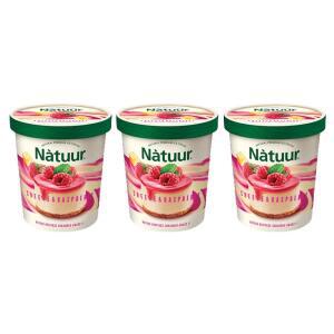 [슈팅냉동] 롯데웰푸드 나뚜루 치즈&라스베리 파인트 474ml, 3개