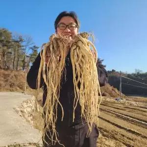 할매장터 26년 수확 약도라지 흙 도라지 국산