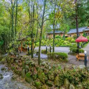 [강원] 백담소나무계곡펜션(강원, 인제)