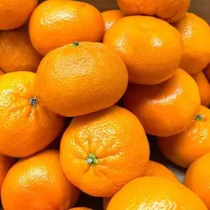 [더조은푸드] 썬키스트 고당도 만다린 2kg (18-24개입)
