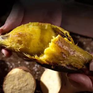 해남 3kg/5kg 베니하루카 고구마(꿀,밤,호박)