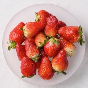 논산 딸기 잼용 주스용 1kg  GAP인증