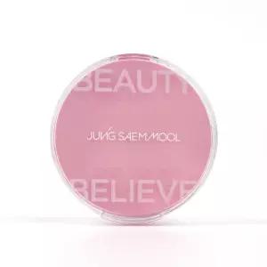 정샘물 아티스트 쿠션 블러쉬 4g 1개 - R