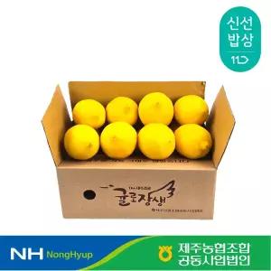 [제주농협] 제주 농산물 1kg 기획전 레몬 1kg(6-8입)