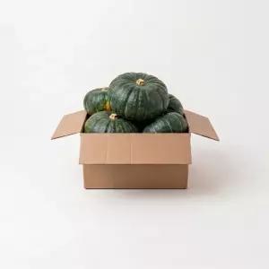 프리미엄 단호박 5kg 뉴질랜드 밤호박 보우짱 미니