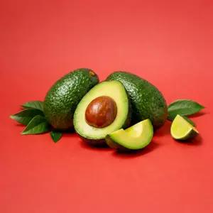 프리미엄 최상급 직수입 생과 아보카도 [특대과 특품]