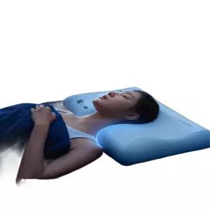 Derila 에르고 경추 메모리폼 베개 수면용 블루