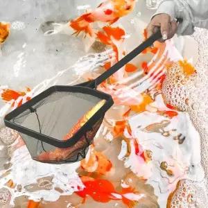 한 사각 어항뜰채 대형 치어 구피 미니 새우 뜰채